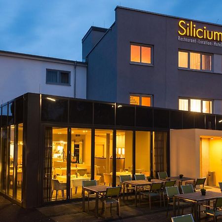 Höhr-Grenzhausen Hotel Silicium מראה חיצוני תמונה