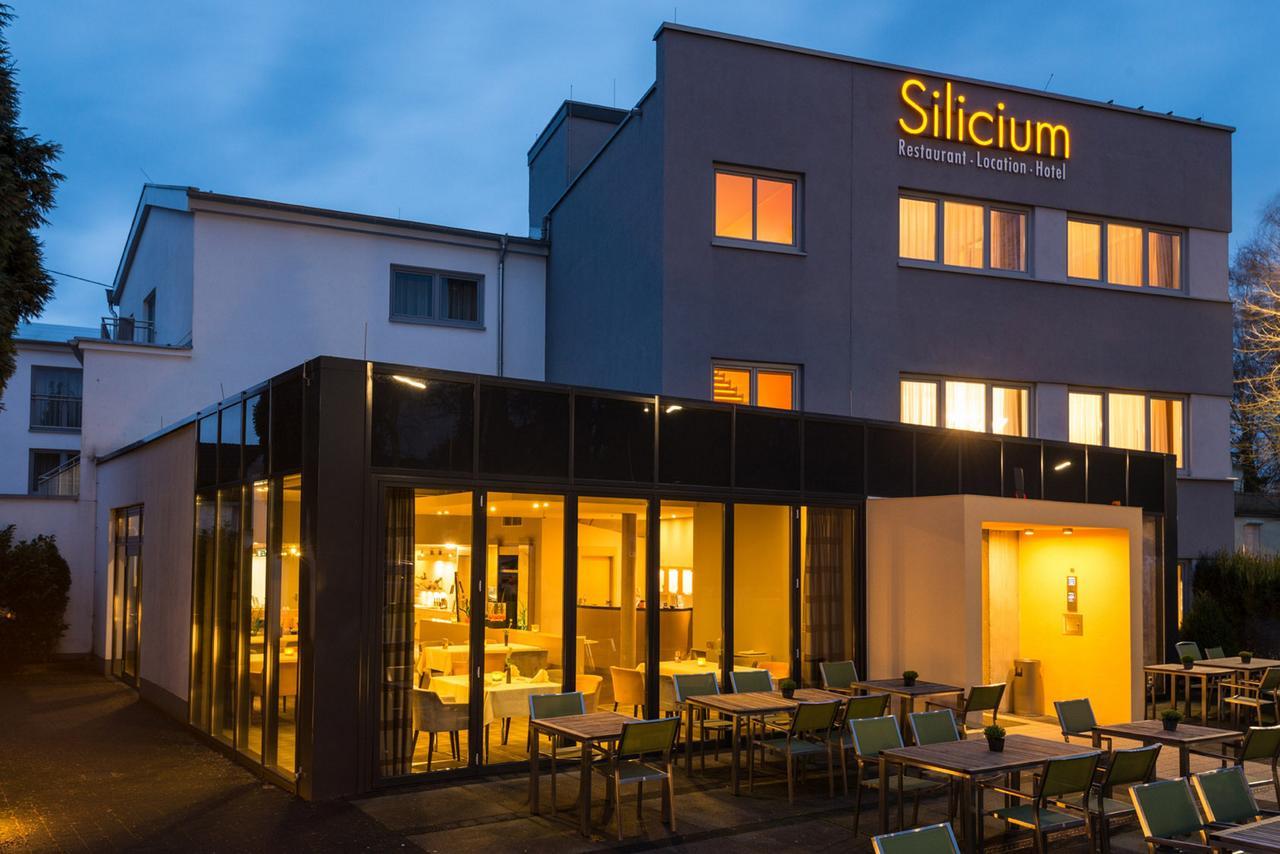 Höhr-Grenzhausen Hotel Silicium מראה חיצוני תמונה